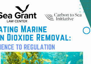 Marine Carbon Dioxide Symposium 202506121234