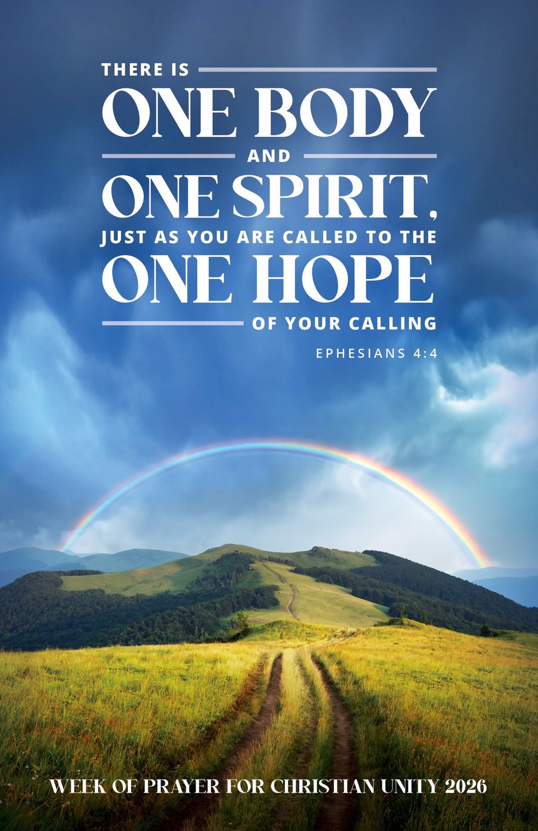 600539457 1287629786731794 7398853343360993713 n