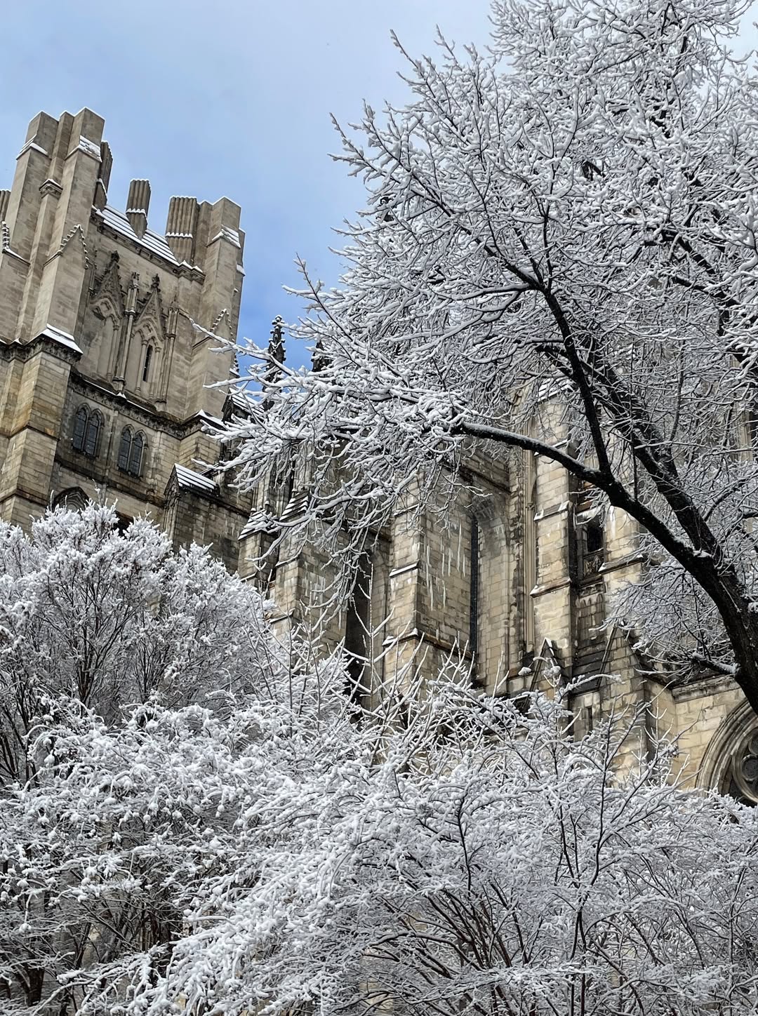 608644620 1308914447945868 146339232417980737 n