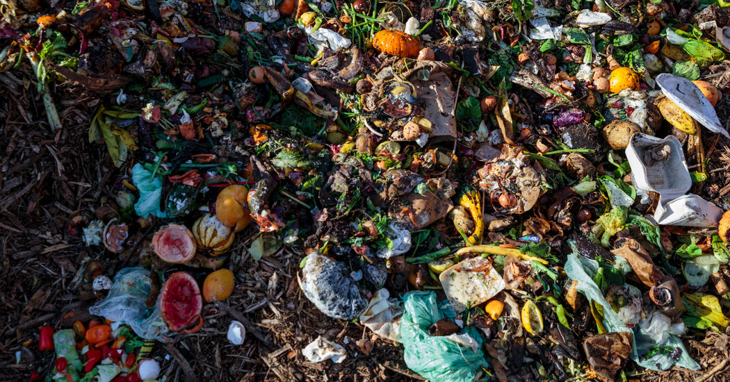 New york to expand composting citywide, targeting trash and rats