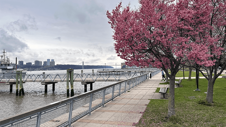 west harlem piers columbia news