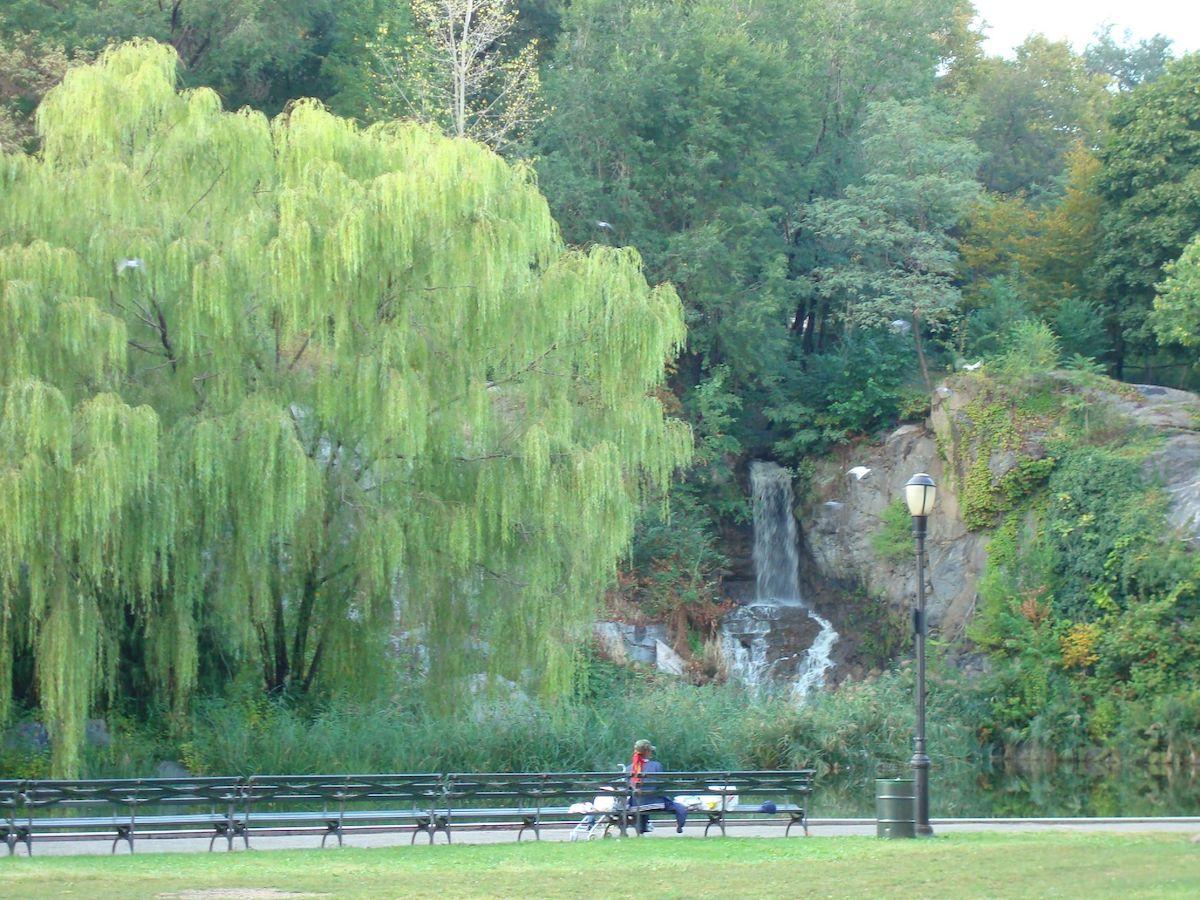 morningside park waterfall repair