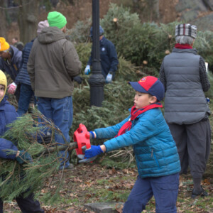 mulchfest 20251