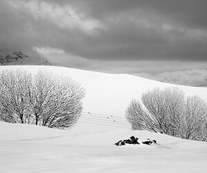 WhereisAbbasKiarostami 1000x5001