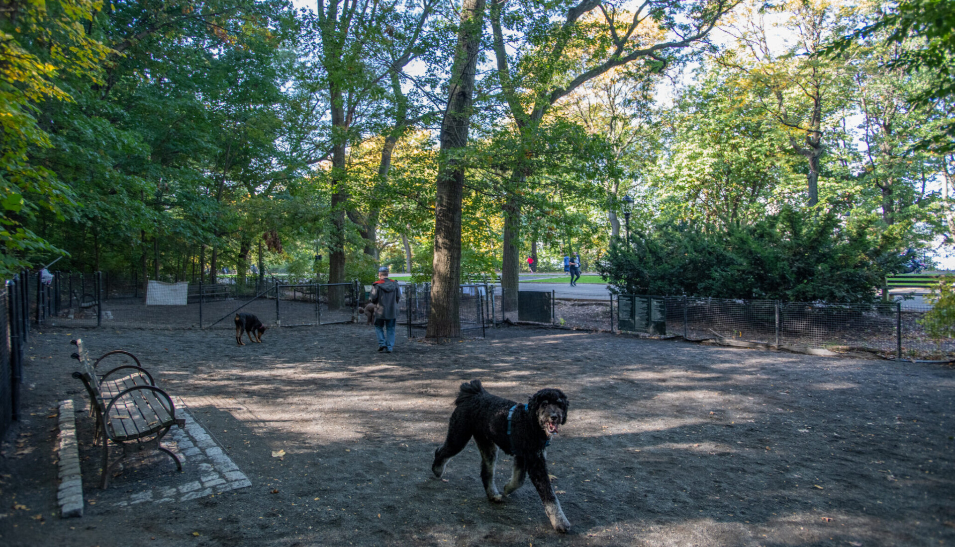 R.D.Park 10 15 JulienneSchaer 223 2048x13651 1 e1745938292260
