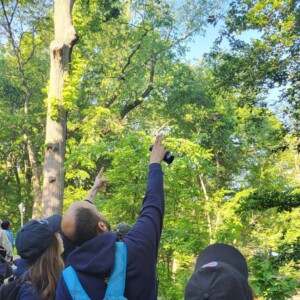 birding club scaled1 e1745937770598