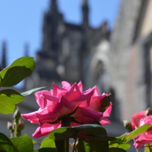 DSC 0291 1716486776 0 1230x6801 1