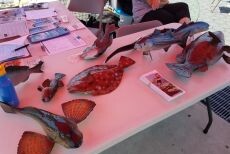 Fishing clinic1 e1750793637528
