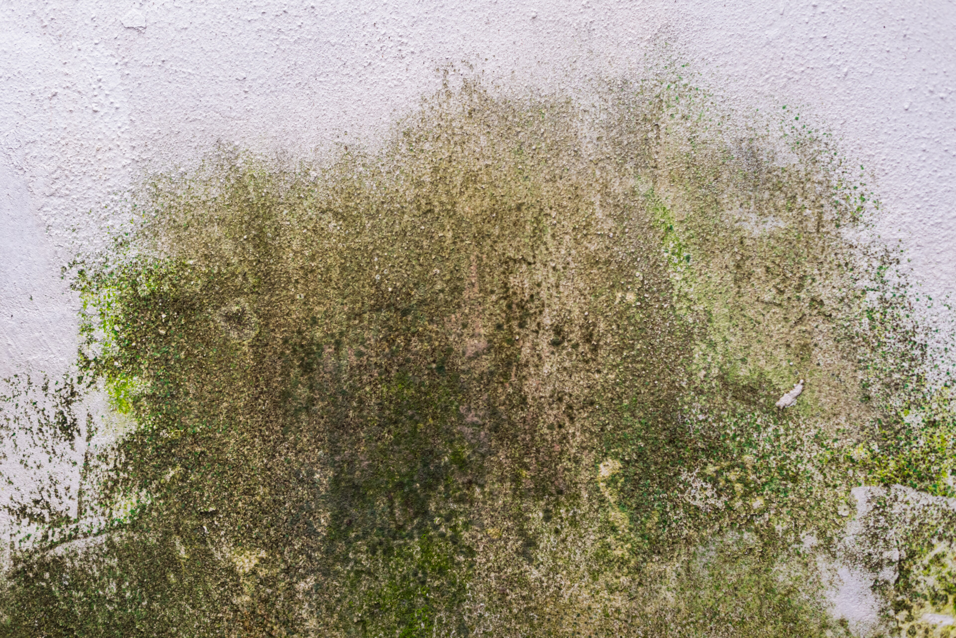 wall