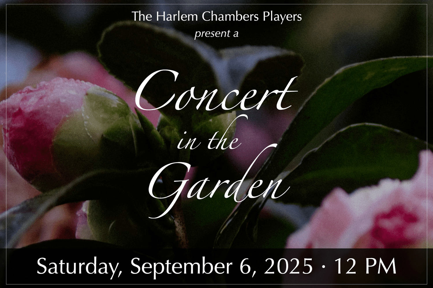 HarlemRoseGardenConcert1