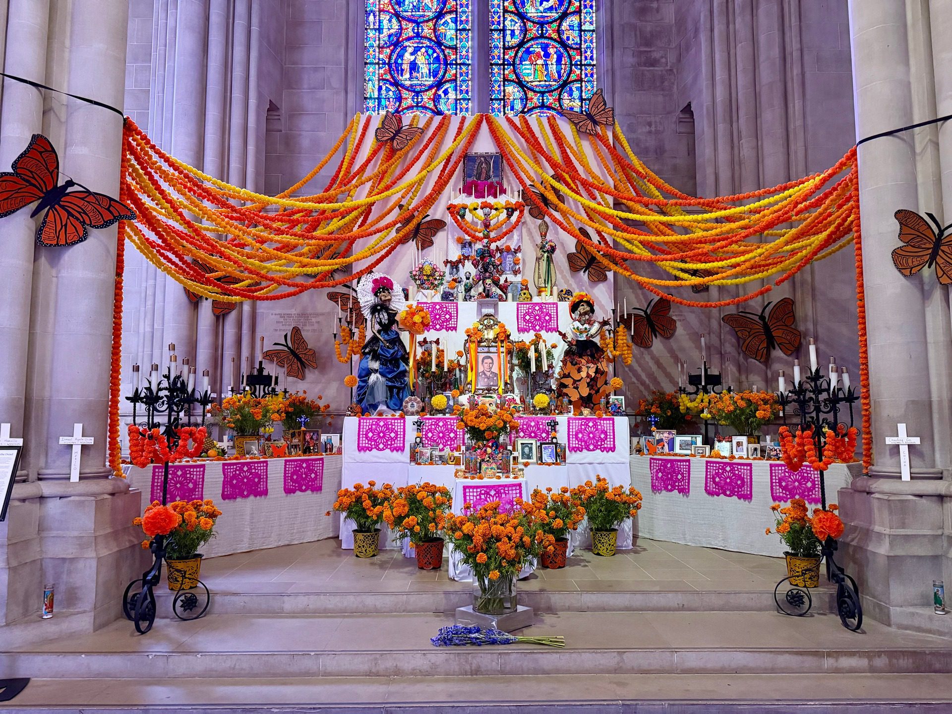 581283179 1269519535218693 6669186594230508577 n