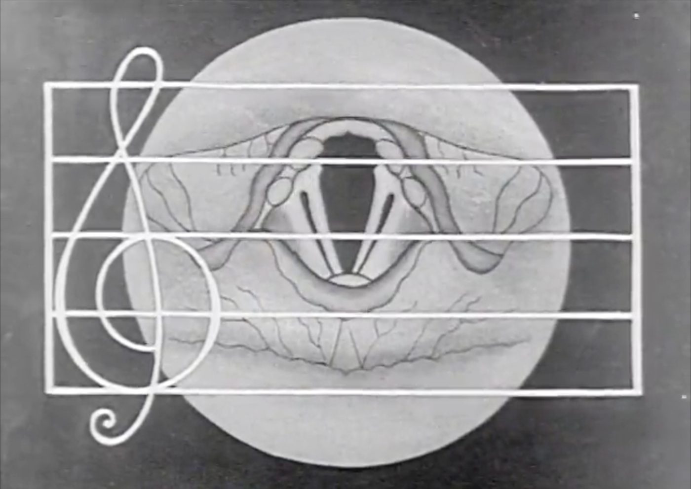 the human voice 6